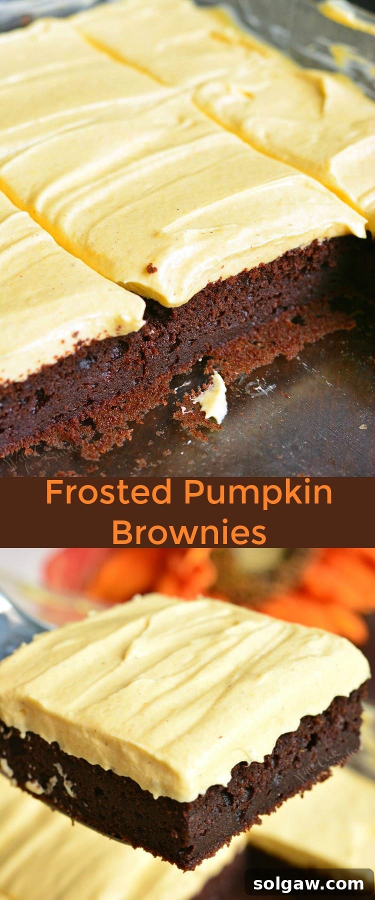 A collage of various frosted pumpkin brownie images, highlighting different angles and serving suggestions.