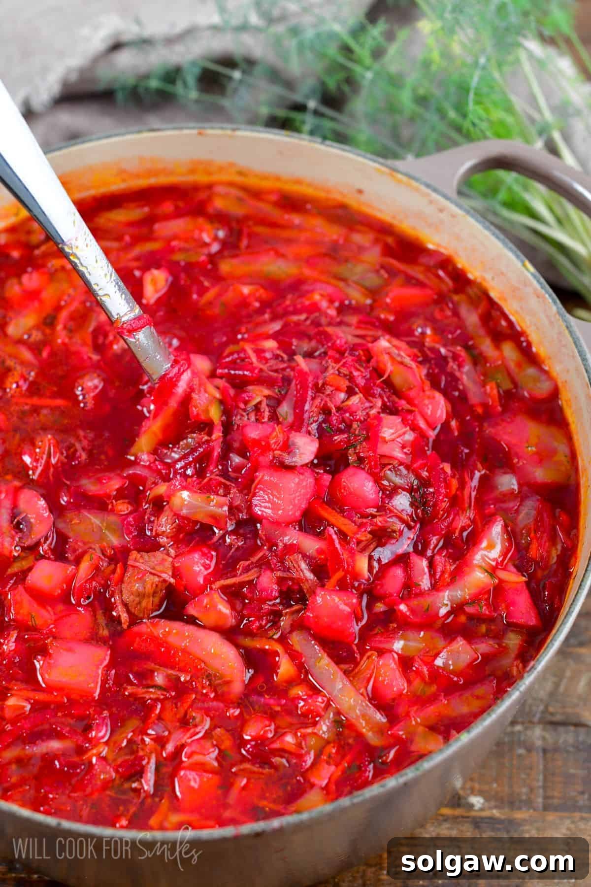 borscht soup in a stock pot with a metal ladle scooping some of the soup out.