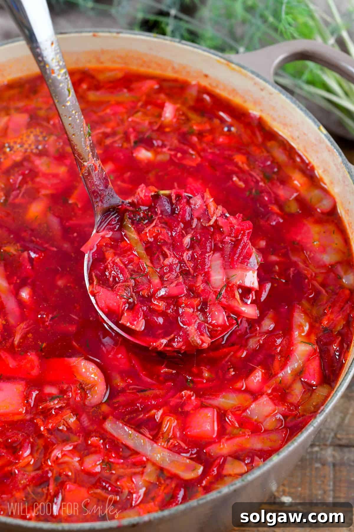borscht soup in a pot with a ladle scoop of soup being lifted out.