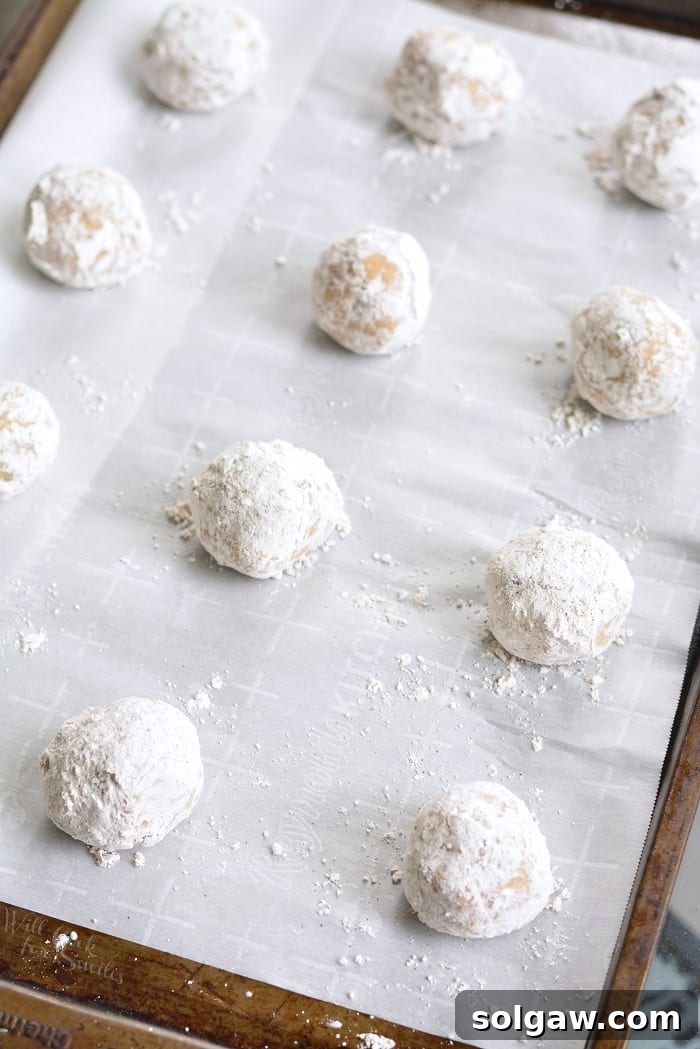 Velvety Maple Pecan Cream Cheese Cookies 3 uncooked Soft Maple Pecan Cream Cheese Cookies rolled up on parchment paper