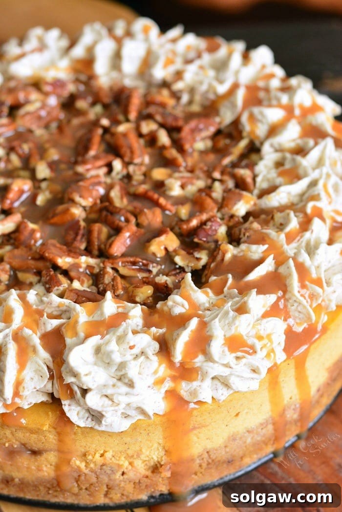 Pecan Caramel Pumpkin Cheesecake