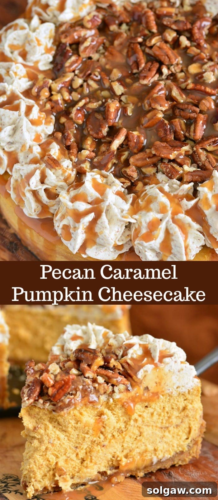 Pecan Caramel Pumpkin Cheesecake collage featuring various angles and close-ups