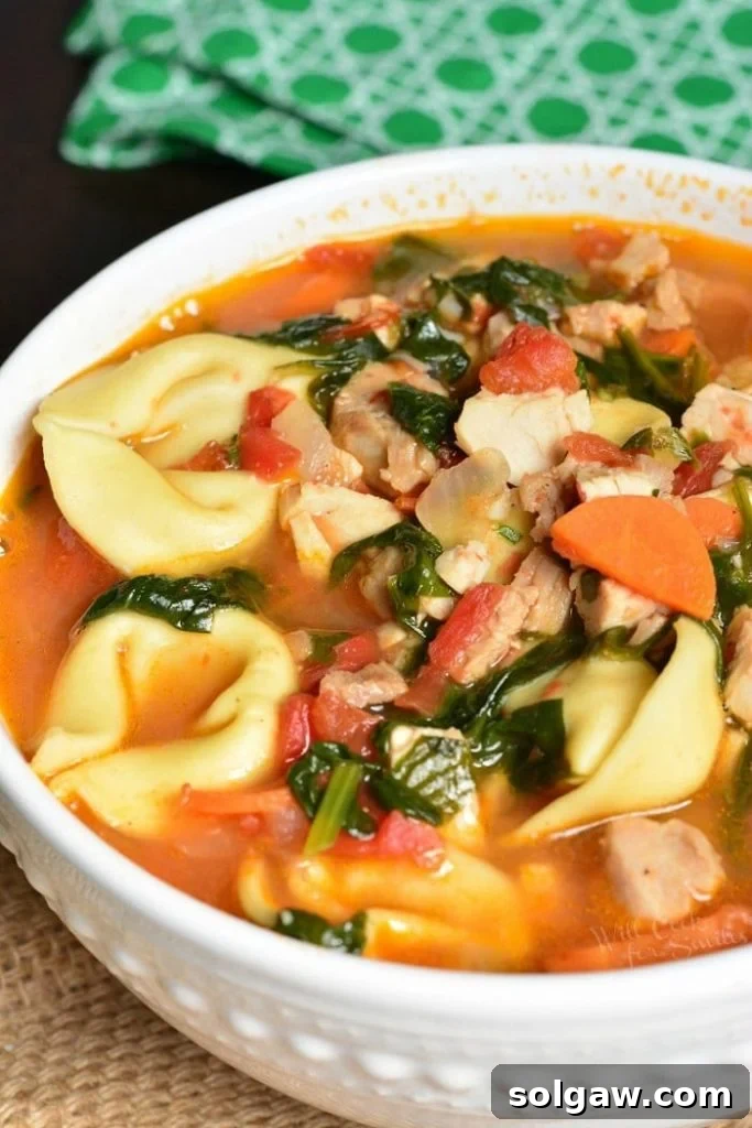 Savory Turkey Tortellini Encore 2 Top-down closeup of a steaming bowl of turkey tortellini soup garnished with fresh basil.