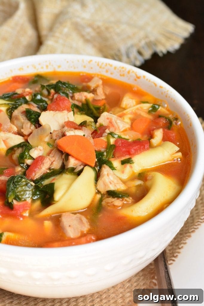 Savory Turkey Tortellini Encore 4 Side view of a white bowl filled with Leftover Turkey Tortellini Soup, showing the texture and ingredients.