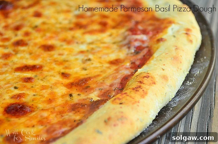 Parmesan Basil Infused Pizza Dough 6 close up of cheese pizza on a pizza pan