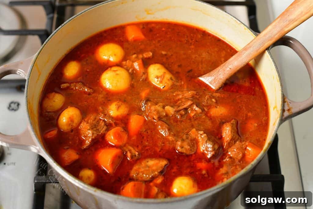 Finished, richly colored beef stew ready to be served from the pot on the stove