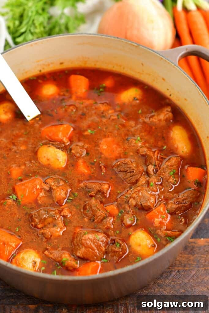 Overhead view of a hearty beef stew in a pot, surrounded by fresh root vegetables