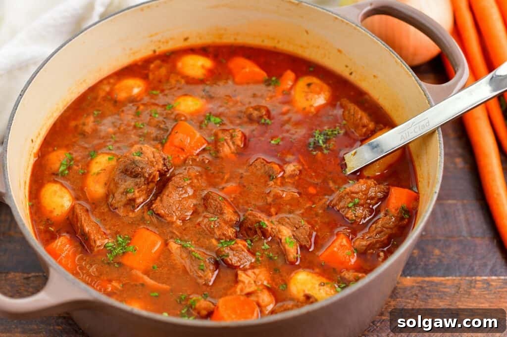 Close-up of hearty beef stew simmering in a large Dutch oven with a ladle, showcasing rich texture