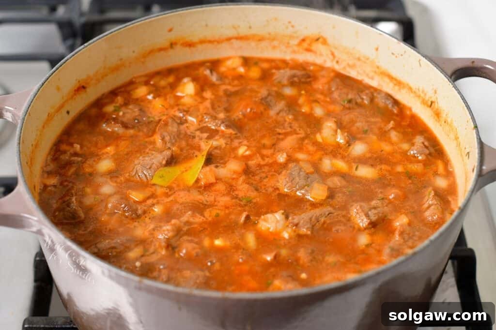 Beef stew gently simmering in a covered pot on the stove, steam escaping subtly