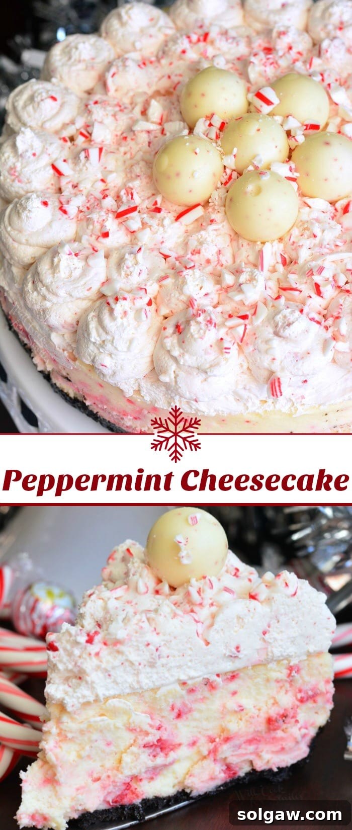 Peppermint Bliss Cheesecake 10 A creative collage showcasing various views of the festive Peppermint Cheesecake, including a delectable slice, highlighting its holiday appeal.