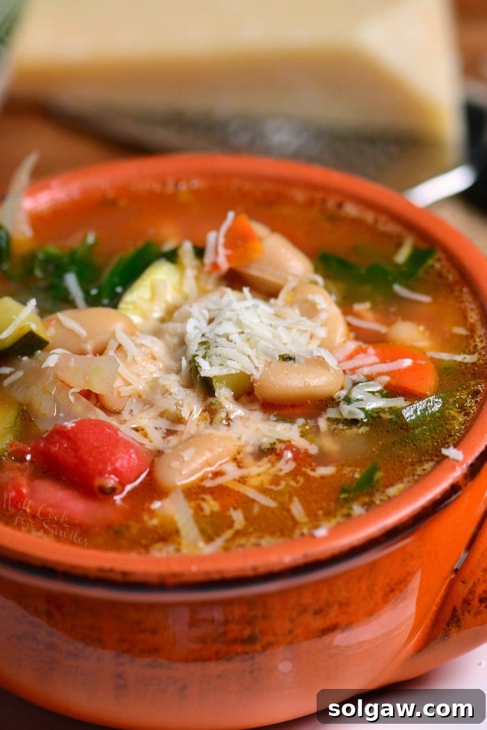 Rustic Italian Minestrone 4 Side view of minestrone soup in a red bowl, garnished with fresh basil and grated Parmesan.