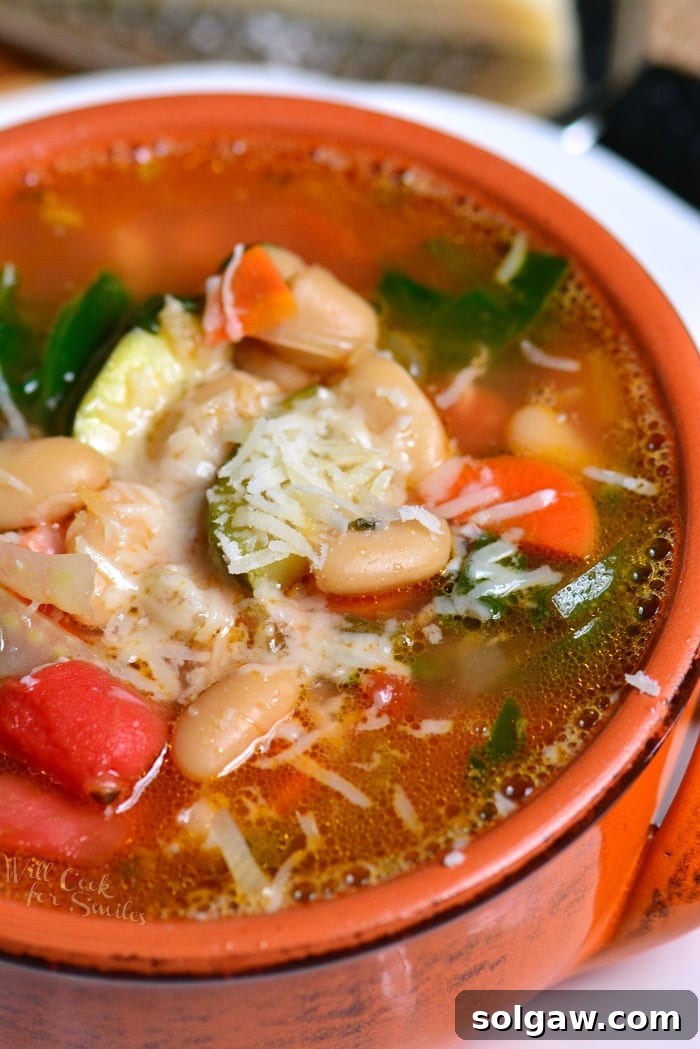 Top view of minestrone soup in a red bowl, garnished beautifully.