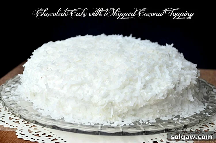A full, frosted chocolate coconut cake displayed prominently on a elegant glass platter, ready to be served.