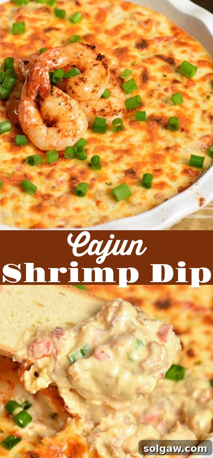 Cajun Shrimp Dip collage