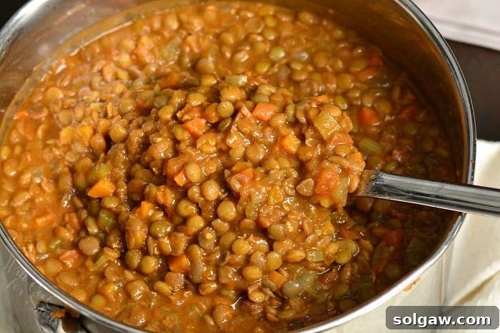 A glistening silver spoon lifting a spoonful of hearty lentil soup from a simmering pot, showcasing its rich texture.