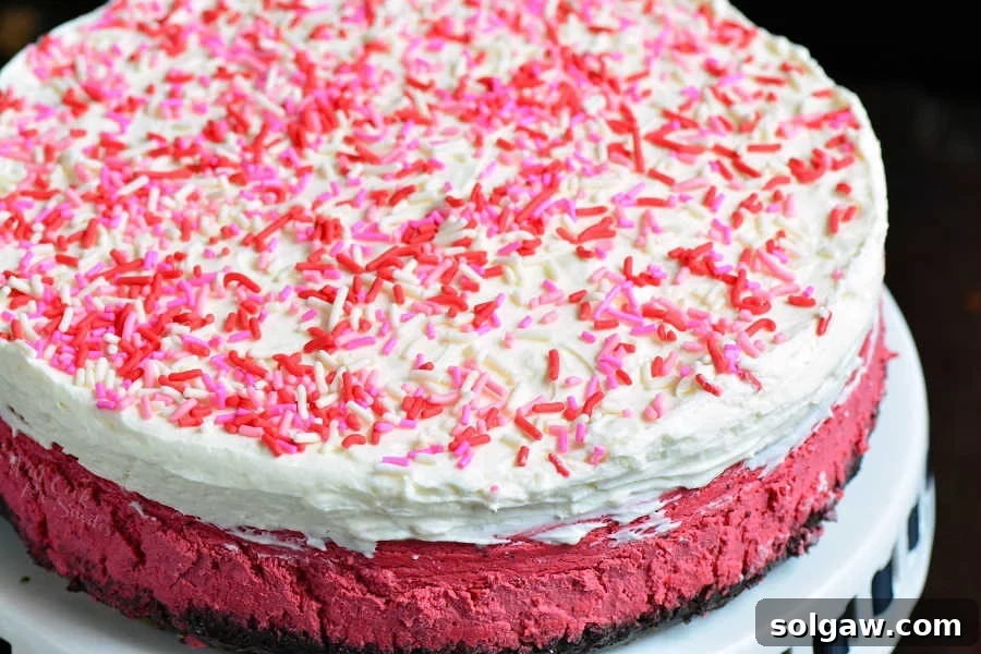 Red Velvet Cheesecake ready for decoration, showcasing its rich red color against a white backdrop.