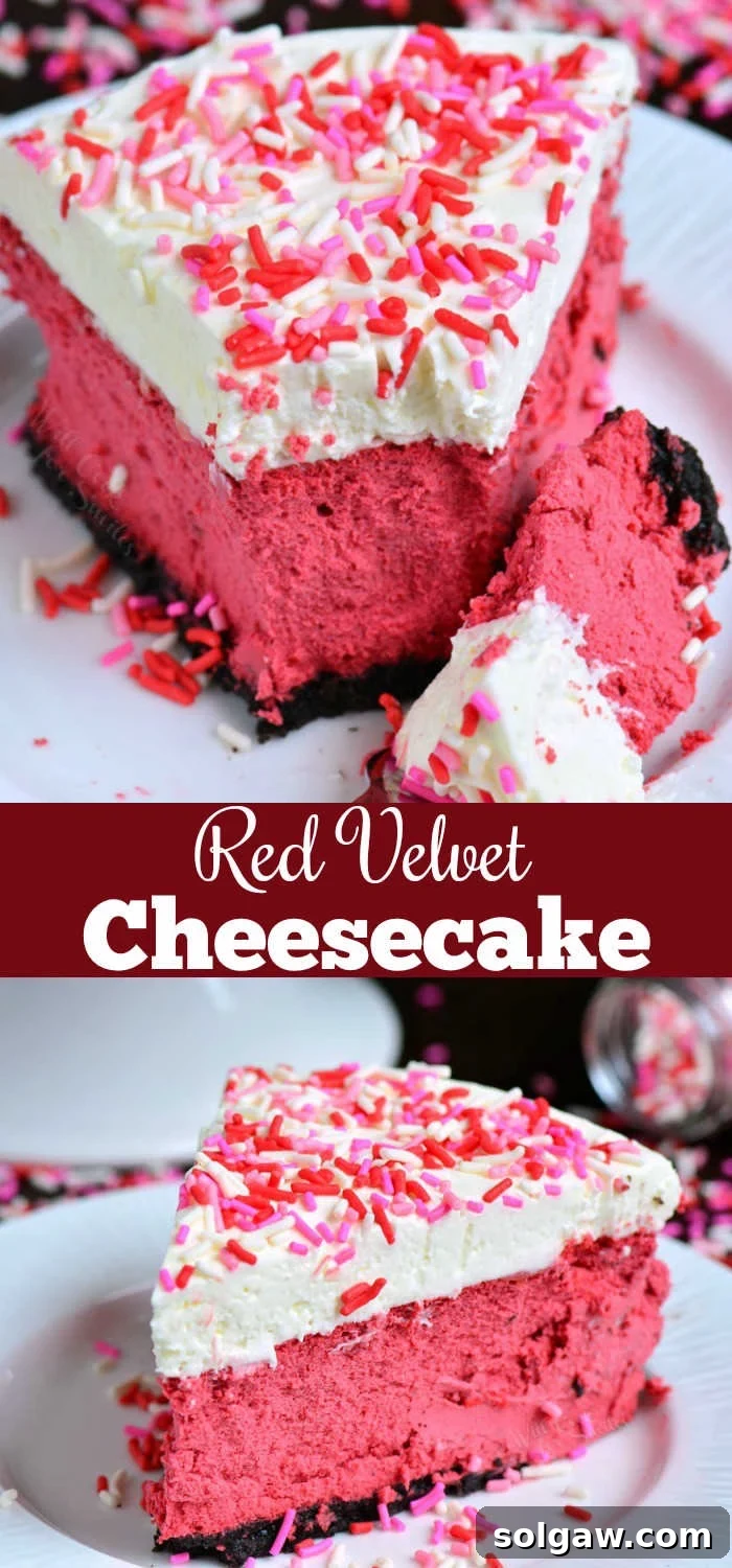 Red Velvet Cheesecake with a festive presentation, showcasing its rich texture and topping.