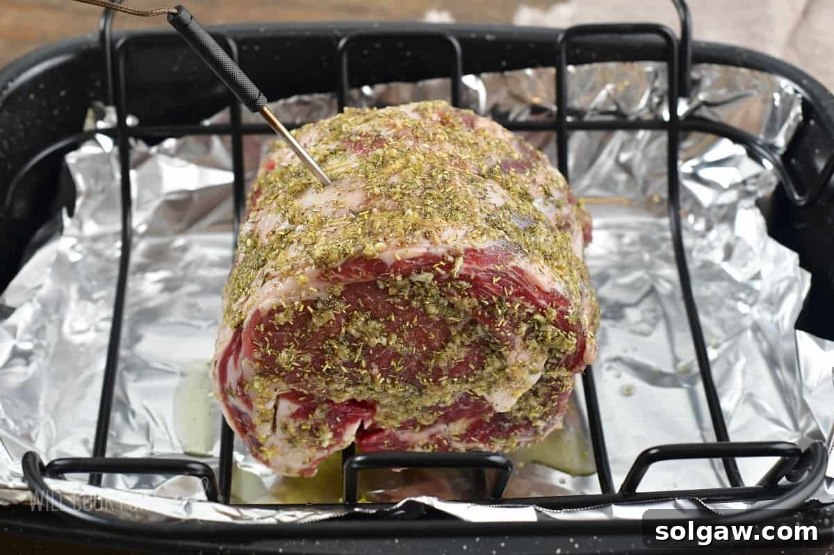 prime rib with seasoning and a meat thermometer inserted.