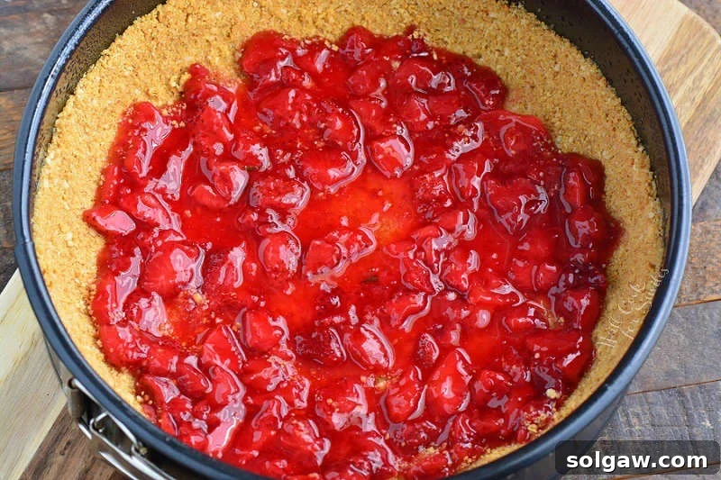 A layer of homemade strawberry filling spread over a graham cracker crust in a springform pan, ready for the cheesecake layer.