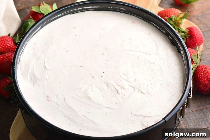 Beautifully set no-bake cheesecake in a springform pan, garnished with fresh strawberries