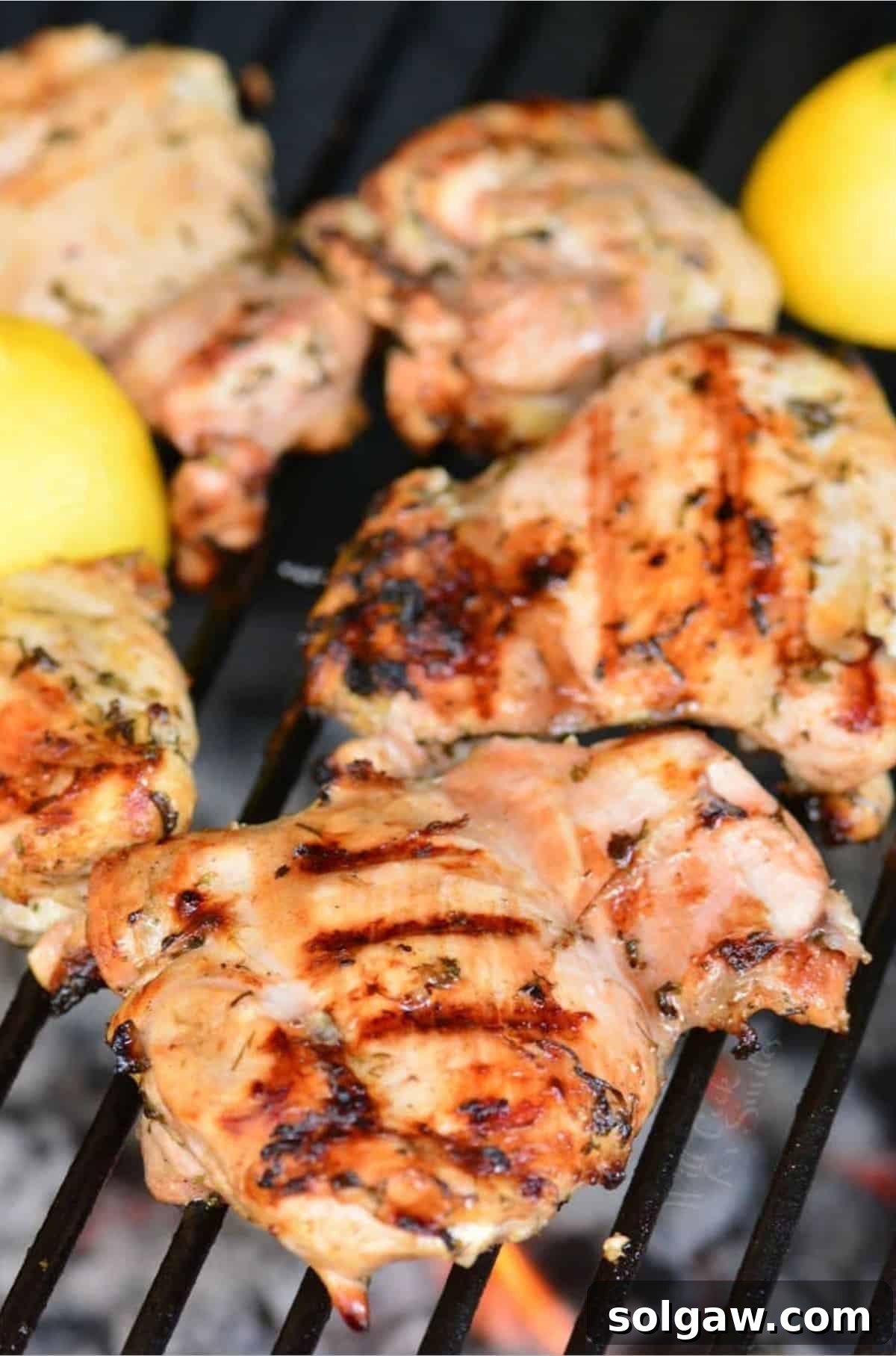Greek marinated cooking chicken thighs on the grill.