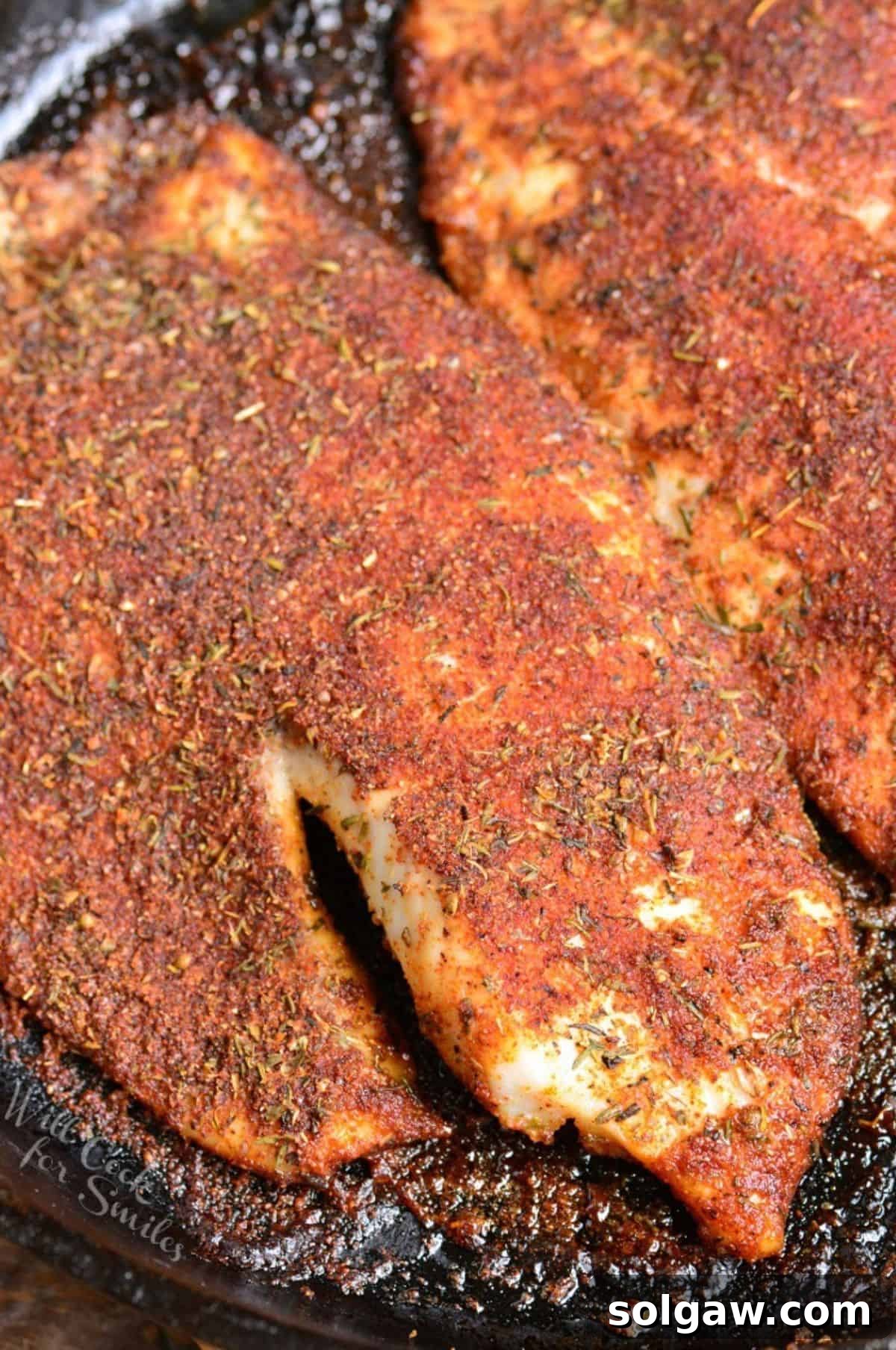 Two perfectly cooked tilapia fillets covered in blackening seasoning in a cast iron skillet.