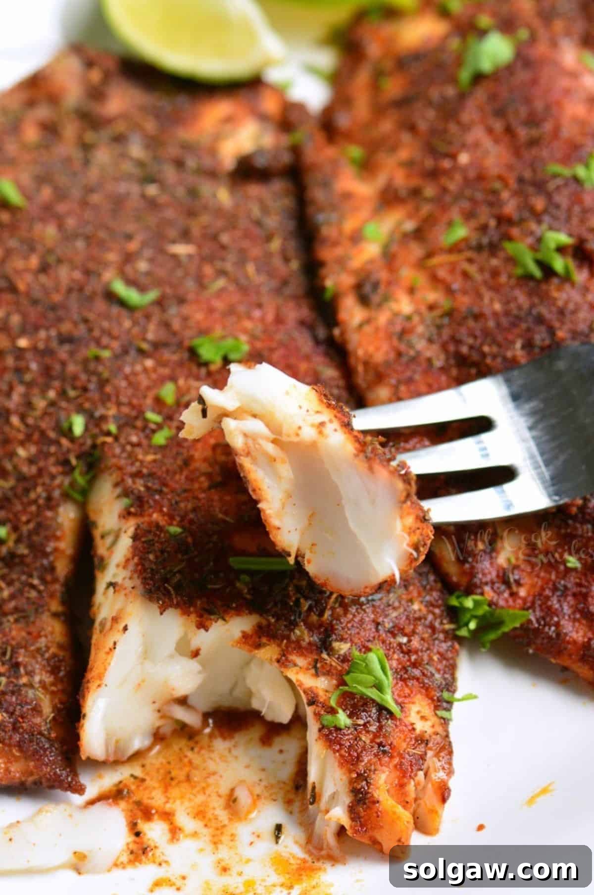 Flaking off a piece of tilapia with a fork to show its tenderness.