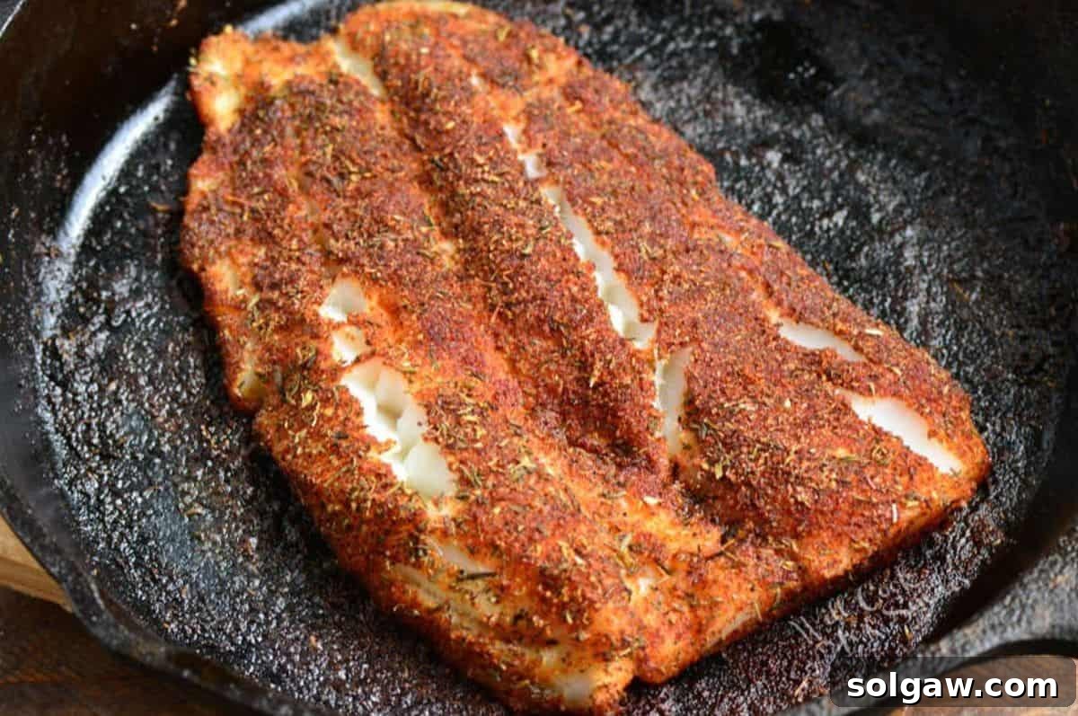 Blackened talapia icooked n a cast iron skillet.