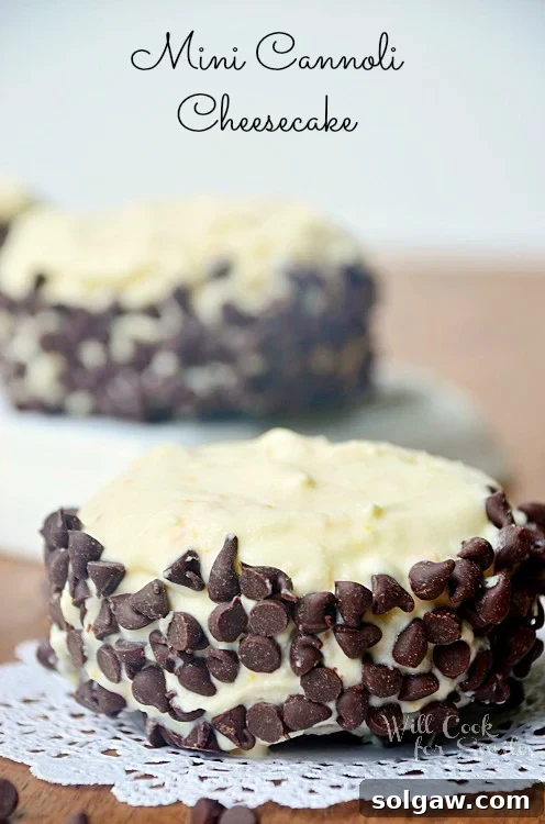Mini Cannoli Cheesecake on a lace napkin, showcasing its creamy topping and chocolate chips.