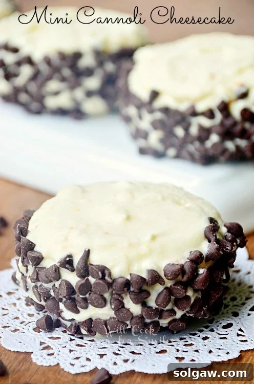 A mini cannoli cheesecake resting on a delicate lace round paper, on a rustic wooden table, ready to be enjoyed.