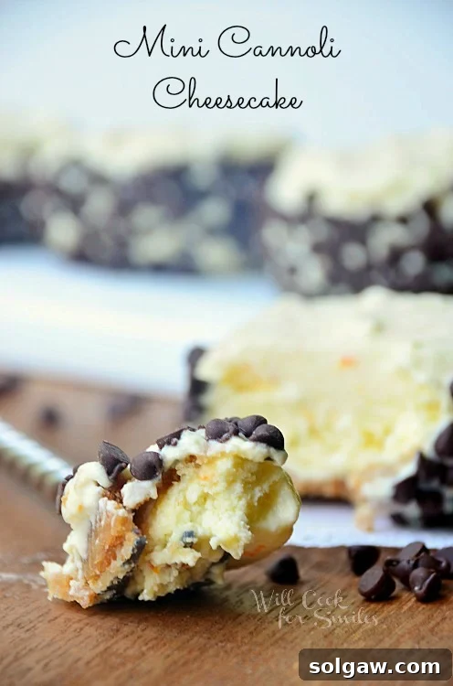Close-up of a mini cannoli cheesecake on a fork, highlighting the creamy filling and chocolate chips.
