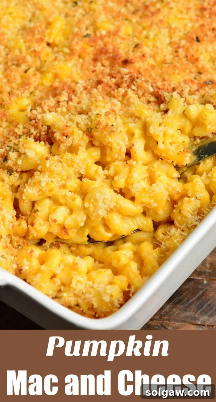 Delicious Baked Pumpkin Mac and Cheese with a breadcrumb topping