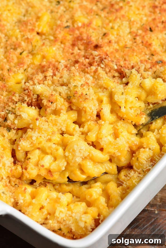 Pumpkin Mac and Cheese