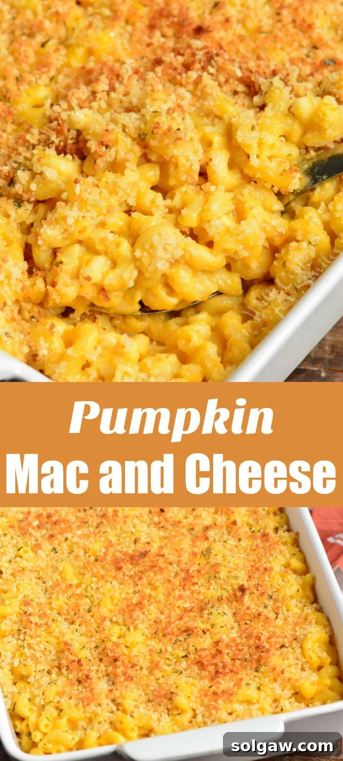 Pumpkin Mac and Cheese Recipe Collage