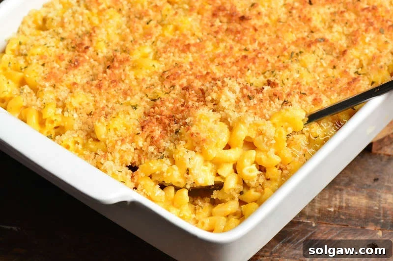 Golden baked pumpkin mac and cheese fresh from the oven