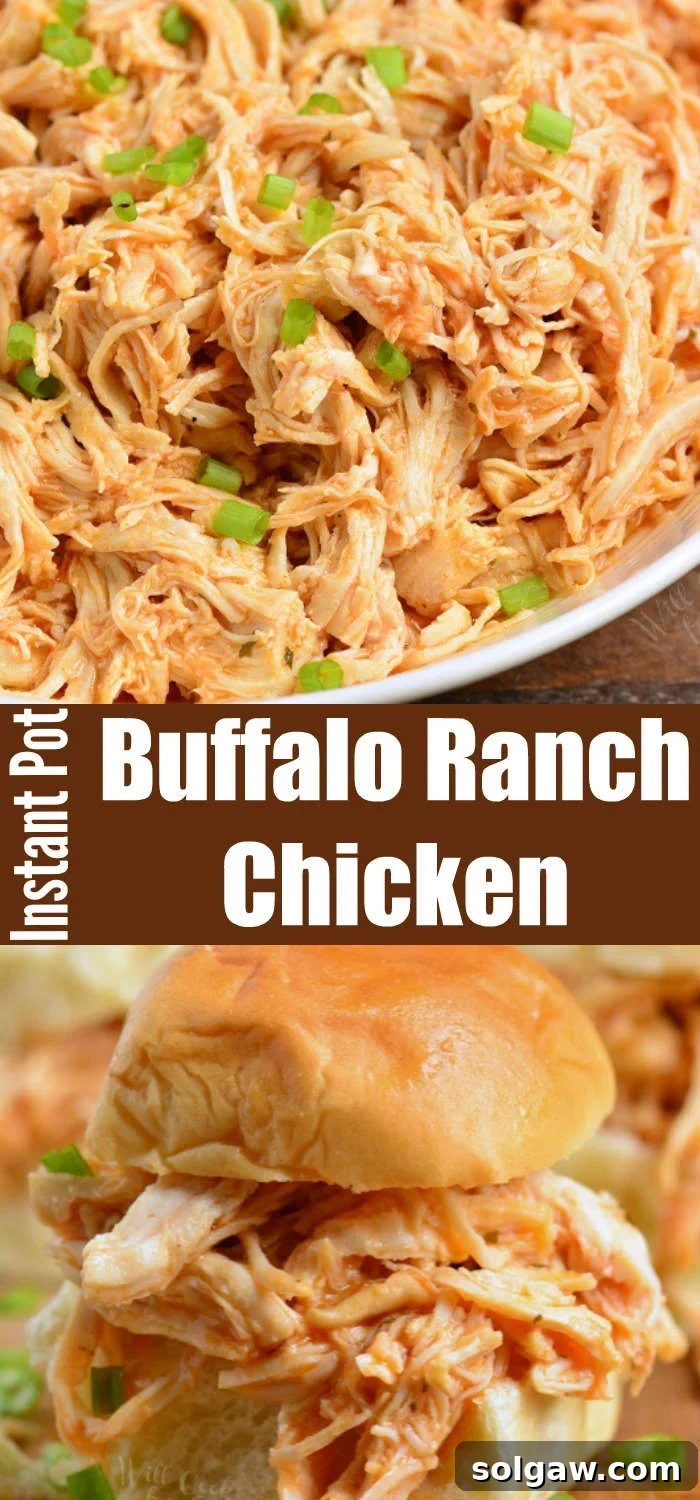 shredded chicken collage