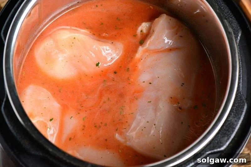 Chicken and sauce in a instant pot