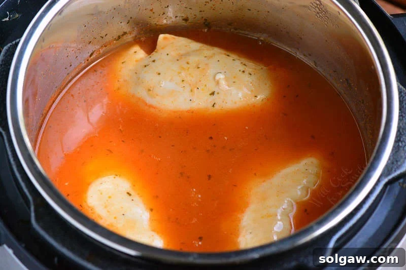 Chicken and sauce cooked in a instant pot