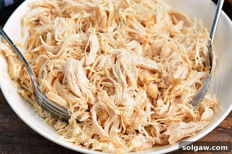 shredded chicken in a bowl with 2 forks 
