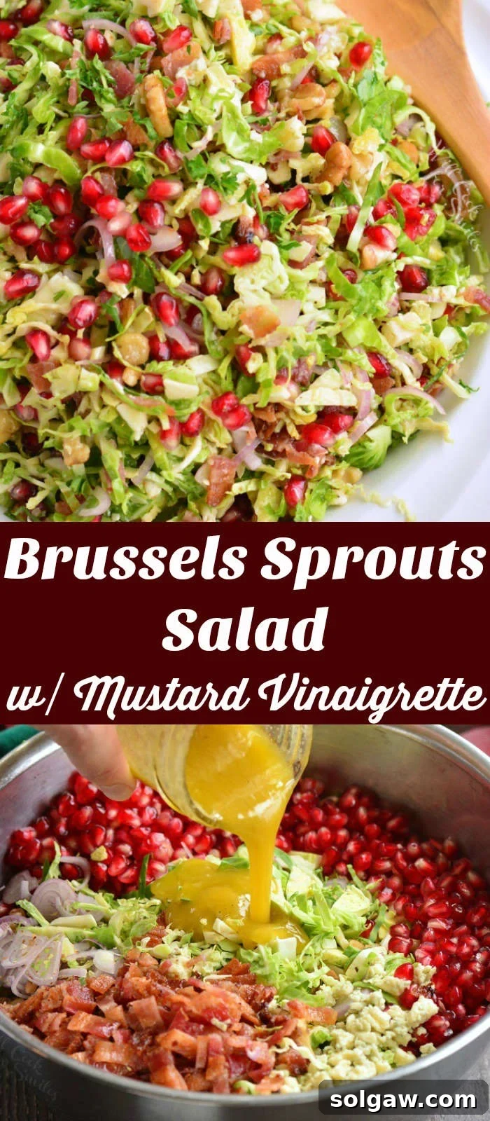 A vibrant collage of multiple appetizing photos of the Brussels Sprouts Salad, highlighting its fresh ingredients and inviting presentation from different angles.