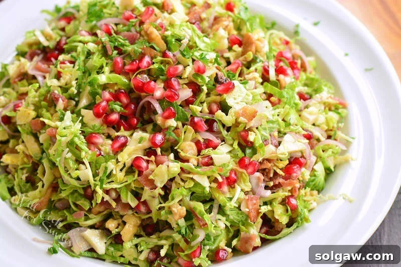 A generous serving of Brussels sprouts salad in a decorative bowl, showcasing its vibrant ingredients like pomegranate, pecans, and bacon, with a beautiful presentation.