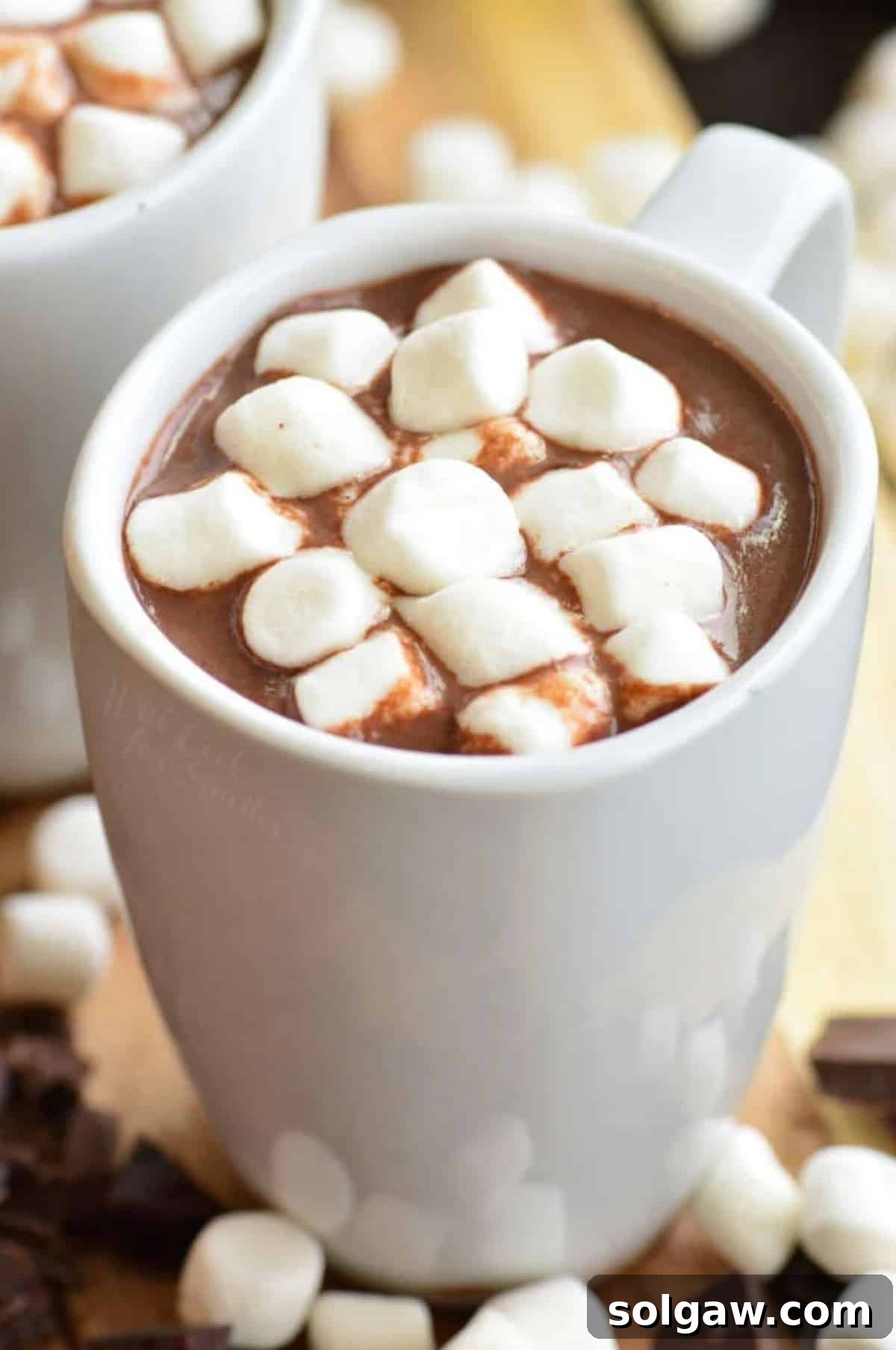 A steaming mug of rich, homemade hot chocolate adorned with fluffy marshmallows, resting on a rustic wooden surface with chocolate shavings.