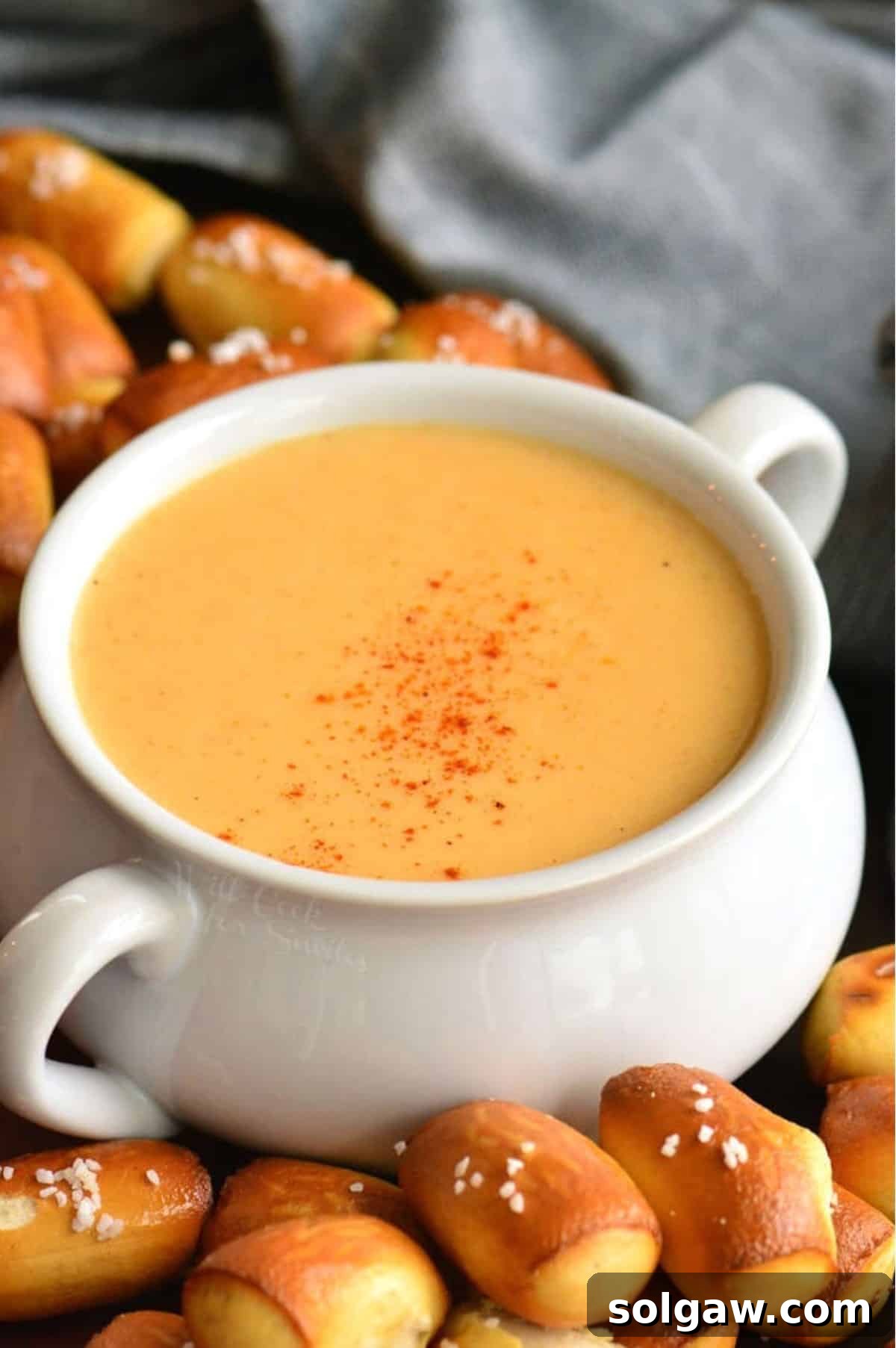 bright beer cheese dip topped with paprika and surrounded with pretzel bites.