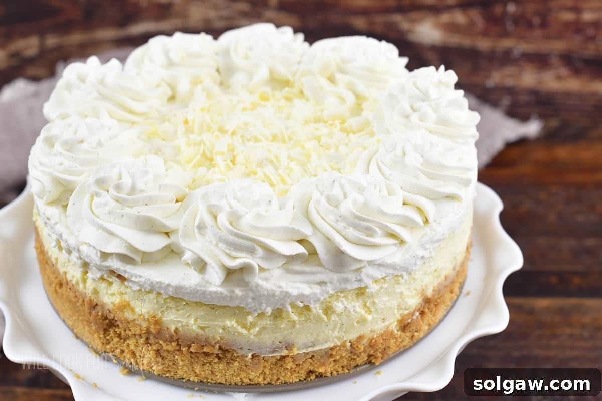 closeup whole vanilla cheesecake with whipped cream.