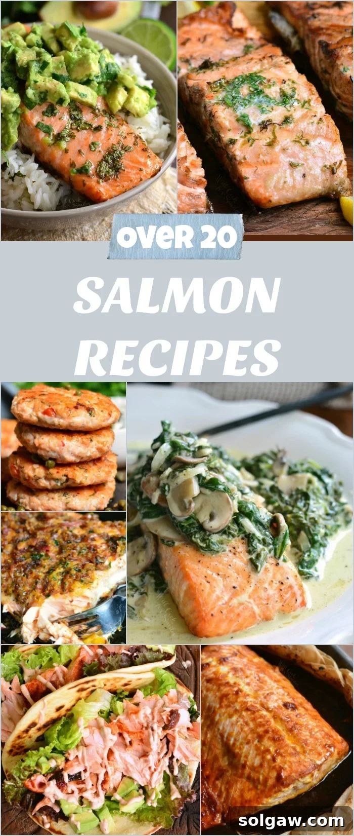 A collage of various salmon dishes, including baked, grilled, and pan-seared preparations, with a central title emphasizing quick and easy recipes.
