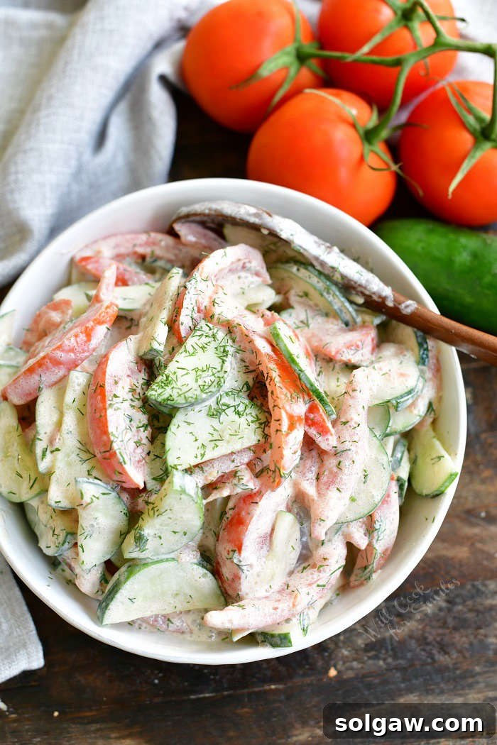 top view of tomato salad mixed in a white bowl with tomatoes on a vine and cucumber next to the bowl