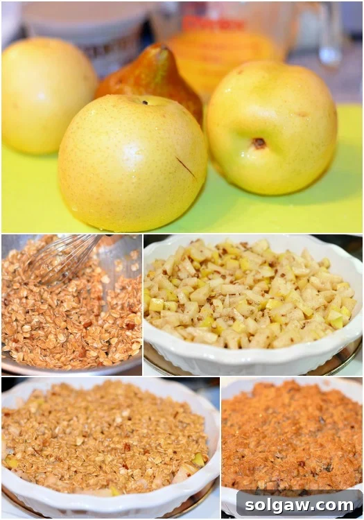 A visually appealing collage showcasing various close-up images of the Asian Pear Maple Crisp, highlighting its textures and ingredients.