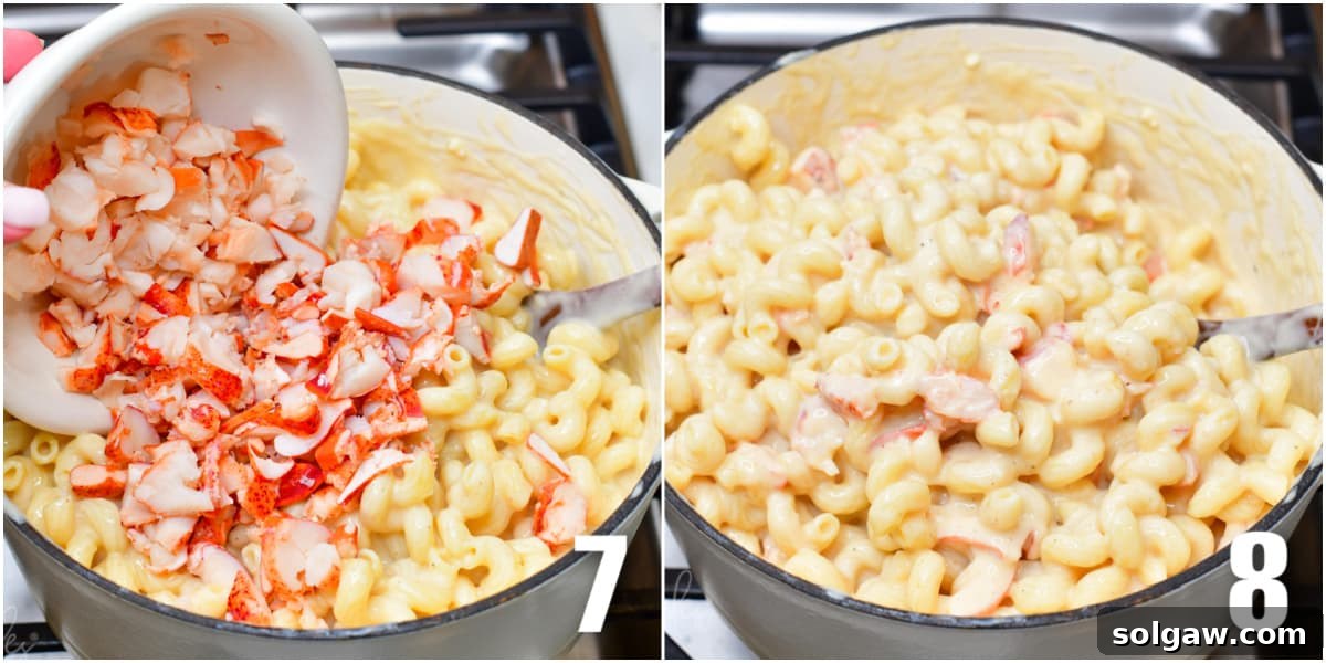 Gourmet Lobster Mac 6 A collage of two images: adding chopped lobster to the mac and cheese, and gently mixing it in.