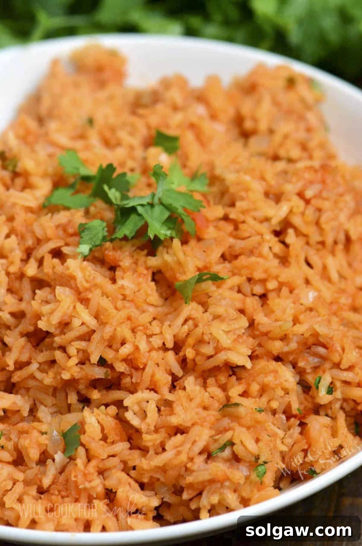 Vibrant red-orange Spanish rice in a bowl, garnished with fresh cilantro, ready to be served.