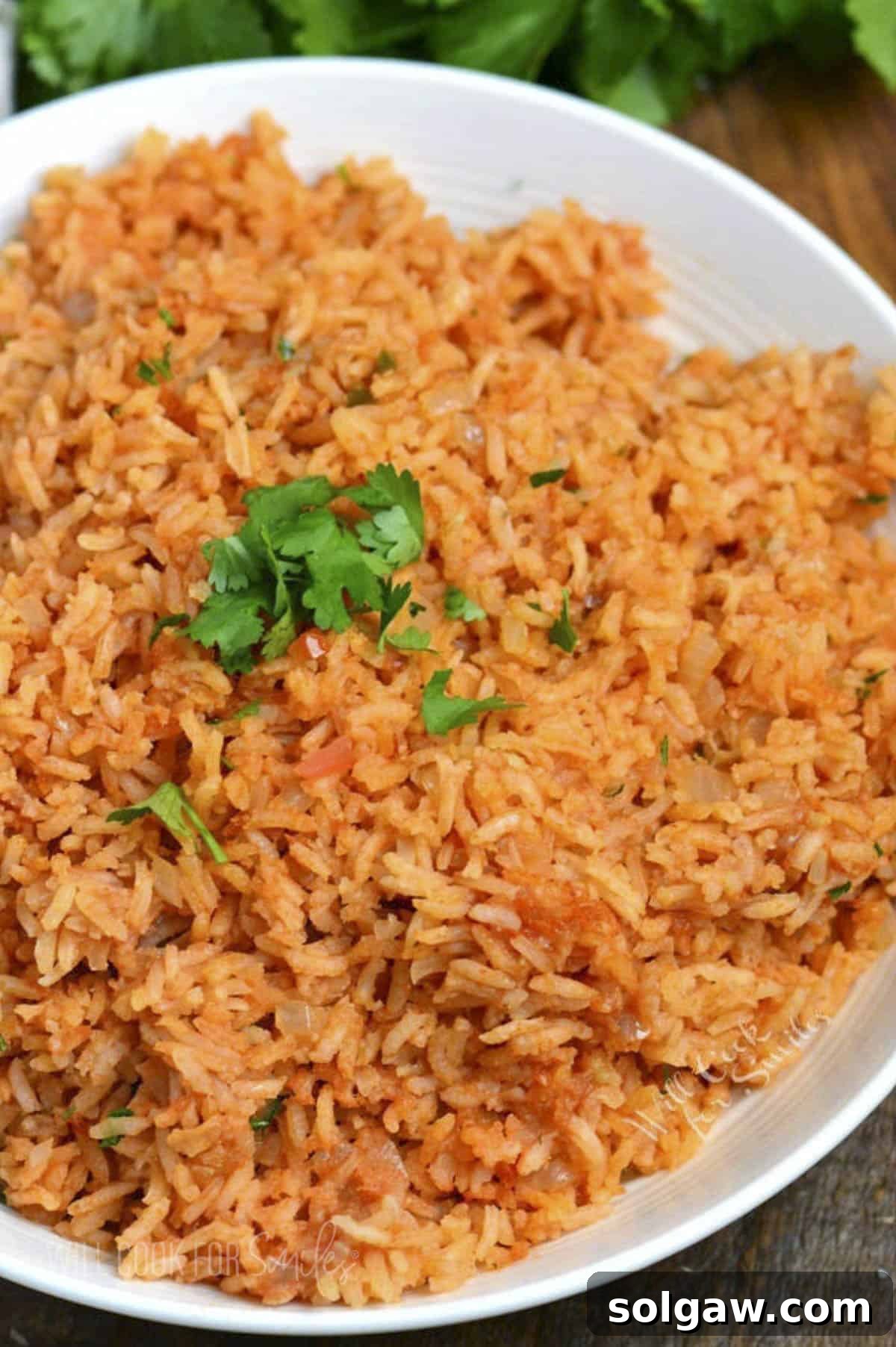 A white bowl filled with vibrant red-orange Spanish rice, generously garnished with fresh cilantro.